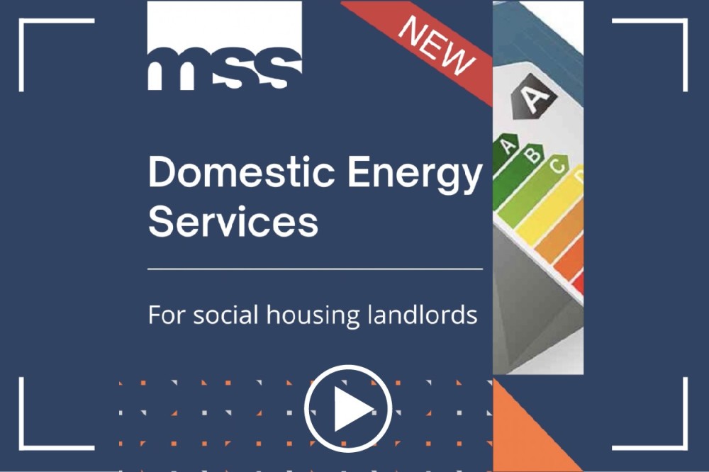 Domestic Energy Services