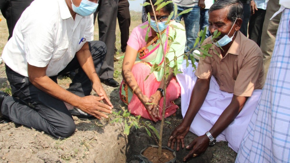 ‘சுபீட்சத்தின் நோக்கு' கொள்கை பிரகடனத்துக்கு அமைவாக  மன்னாரில் மர நடுகை