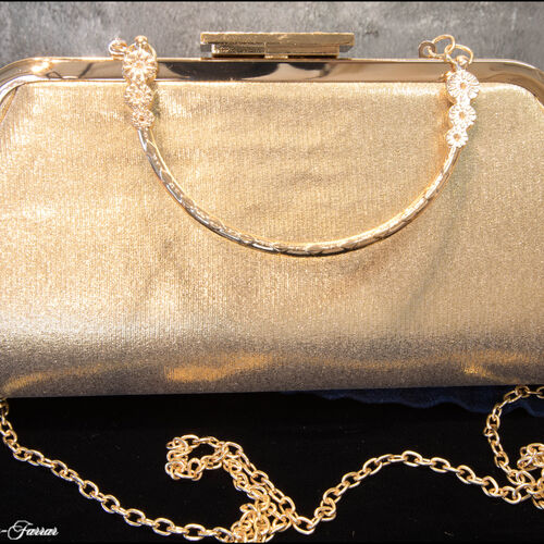 Gold & Silver Tassle Clutch