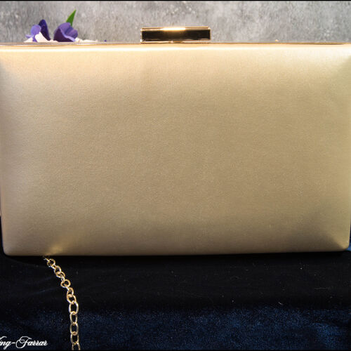 Faux Gold, Pearl & Crystal Embellished Box Clutch