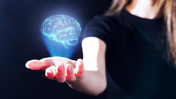 The missing link between sex hormones and Cognition