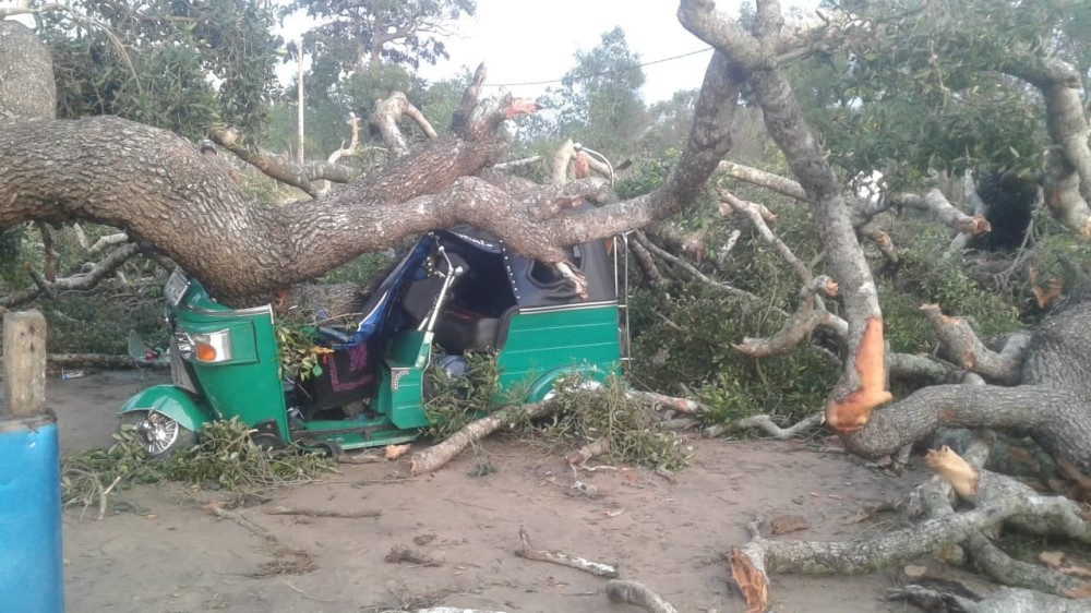 காலத்தின் சீற்றத்தால் ஏற்பட்ட அழிவு