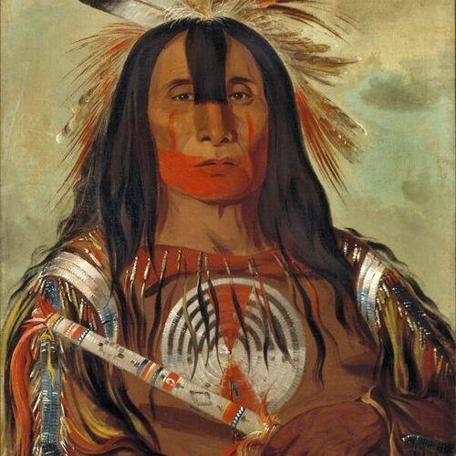 Stu-mick-o-súcks, Buffalo Bull's Back Fat, Head Chief, Blood Tribe