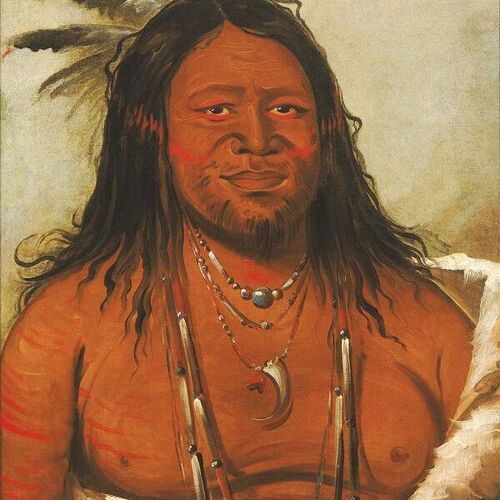 Ta-wáh-que-nah, Mountain of Rocks, Second Chief of the Tribe