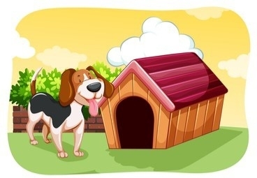 Kennels & Daycare - What You Need To Know