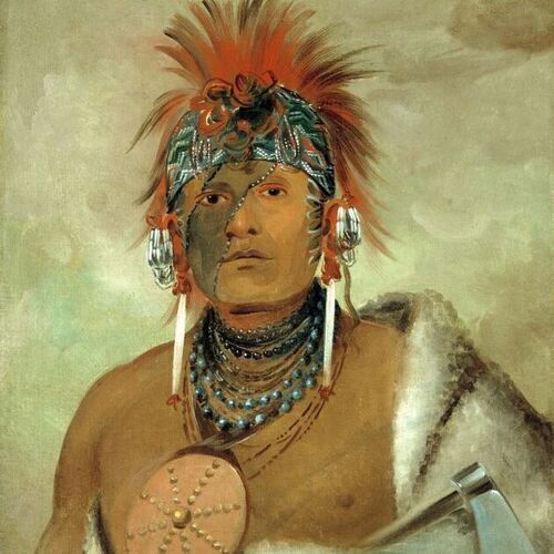 Wá-hón-ga-shee, No Fool, a Great Fop