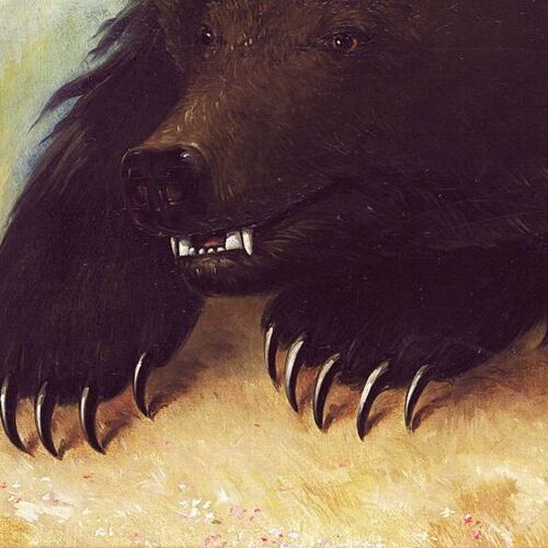 Weapons and Physiognomy of the Grizzly Bear (B)