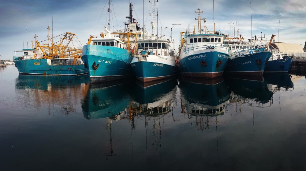 அத்துமீறி மீன்பிடியில் ஈடுபட்ட இந்திய மீனவர்களுக்கு சிறைத் தண்டனை