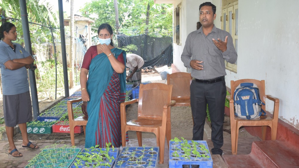 'ஹரிக் தெயக்' திட்டத்தின் கீழ் பயனாளிகளுக்கு தலா 40 வீட்டுத்தோட்ட கன்றுகள்