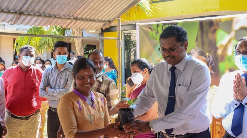 தேசிய வீட்டுத்தோட்ட திட்டத்தில்..