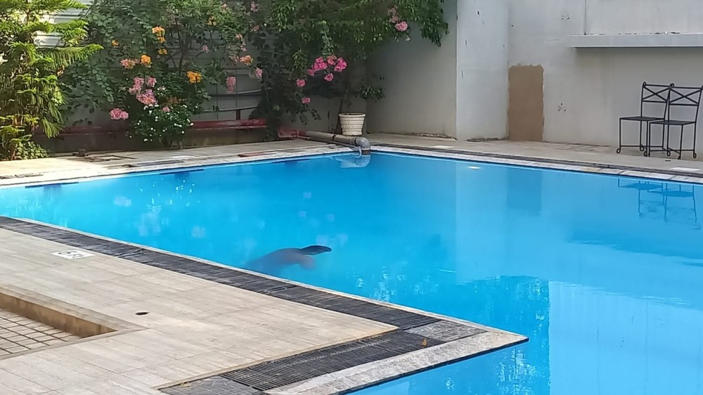 கொலை செய்யப்பட்டாரா?