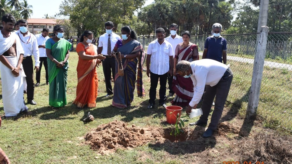 விளையாட்டு மைதானங்கள் அபிவிருத்தி