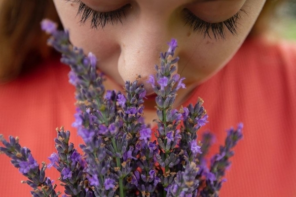 Our Favourite Five- Essential Oils