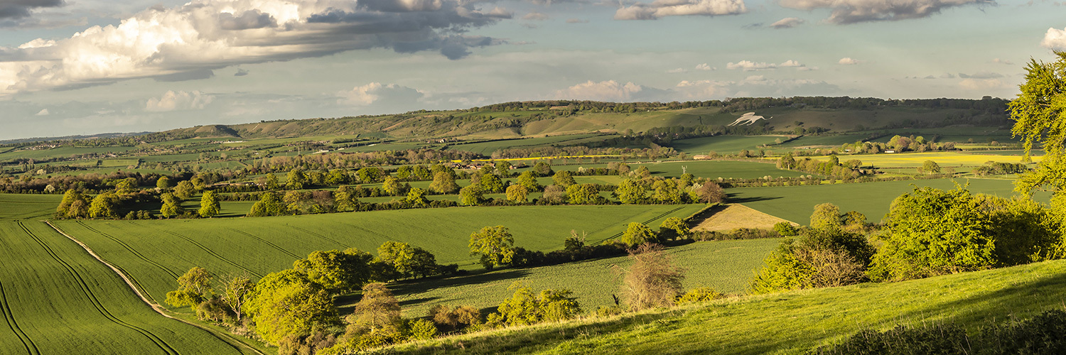 Leaflets door-to-door Redbourn