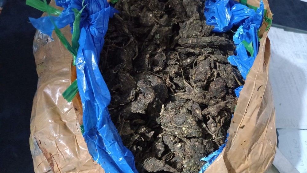 கடற்படை மீட்ட 150 கிலோகிராம் கேரள கஞ்சா