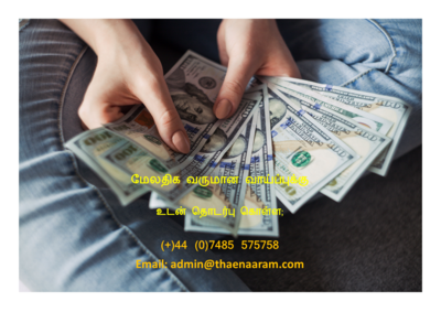 work from home, extra income