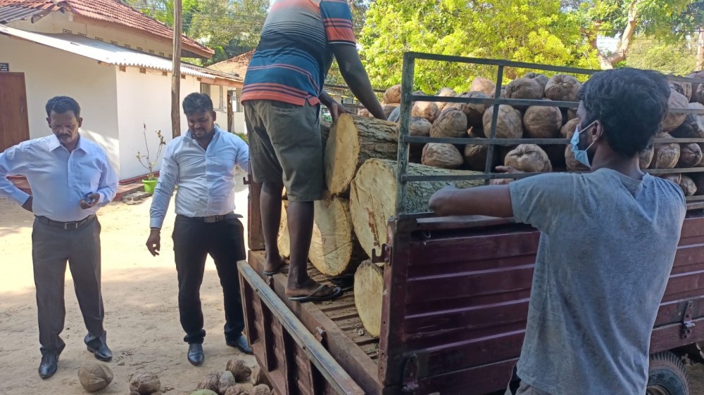 4 இலட்சம் ரூபா முதிரை கடத்தலை லபக்கென கைபற்றிய பொலிஸ்