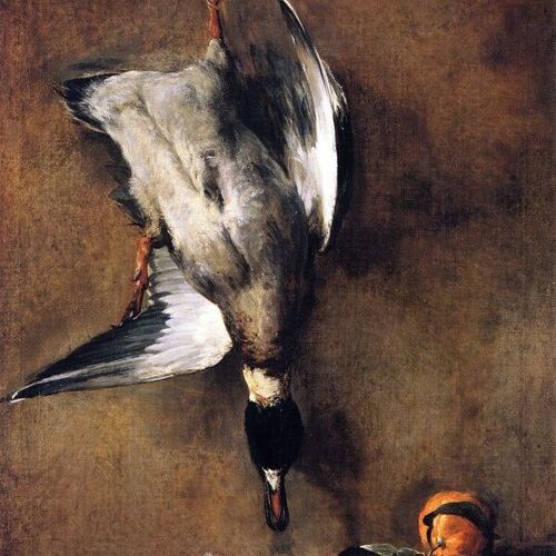 A Green Neck Duck with a Seville Orange