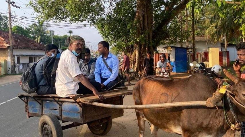 யாழில் மாட்டு வண்டியில் பாடசாலைக்கு சென்ற ஆசிரியர்கள்!