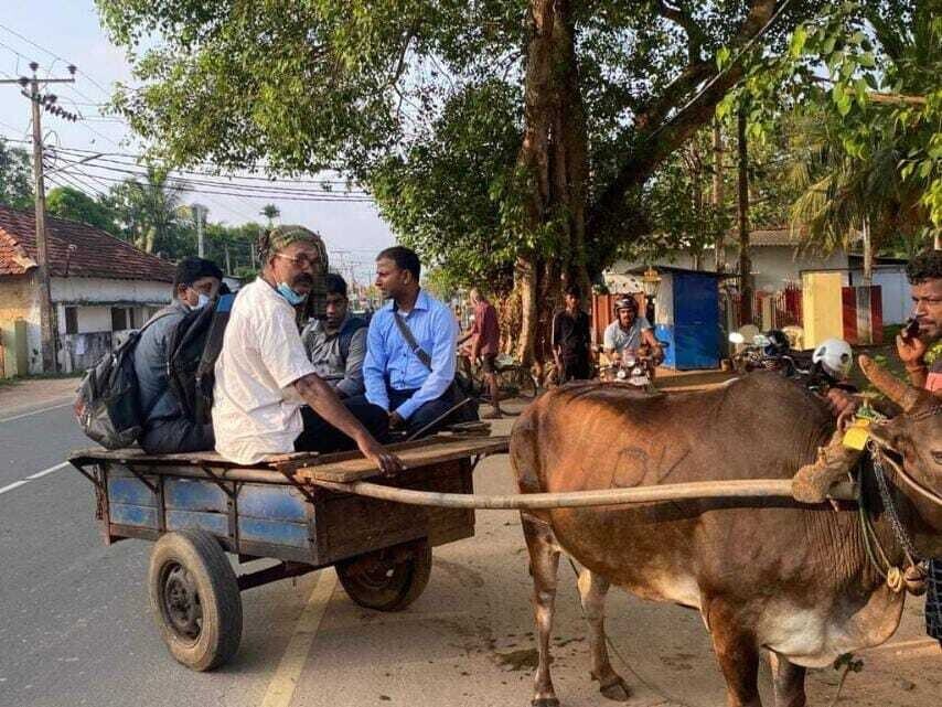 யாழில் மாட்டு வண்டியில் பாடசாலைக்கு சென்ற ஆசிரியர்கள்!