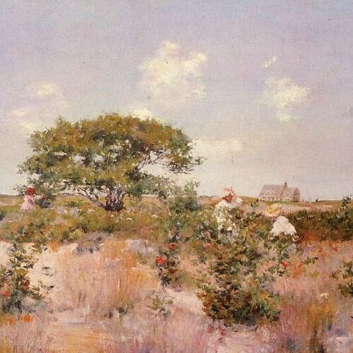 Shinnecock Landscape