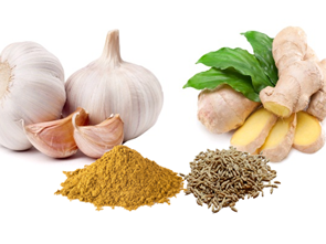 Nech Matafecha (Memakerti Alecha)