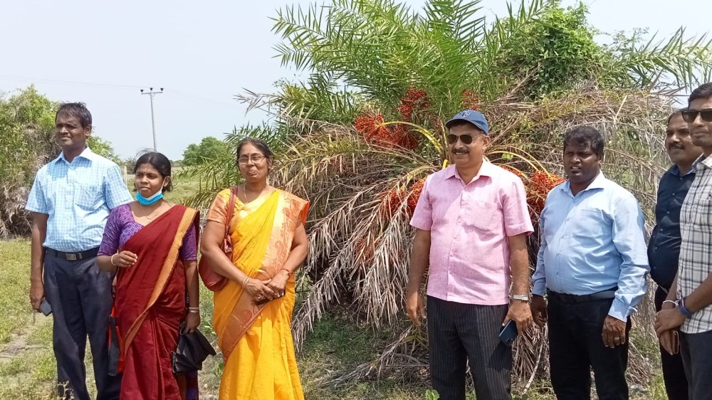 கால்பதிக்க தீவகத்தில் தயாராகும் இந்தியா