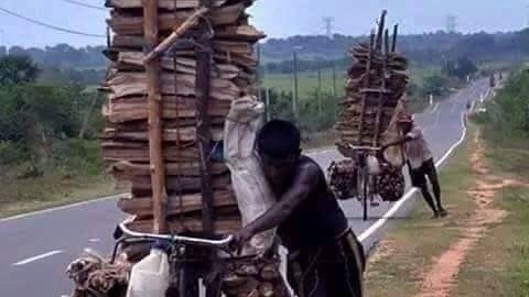 விறகுக்கு மவுசு