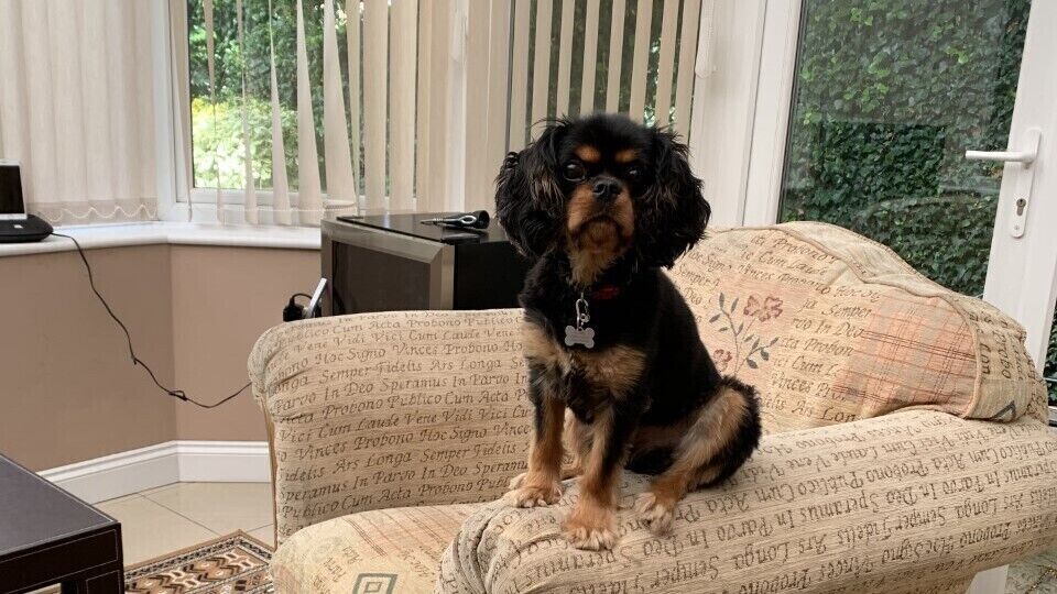 Meet the Team: Gary Sargeant, Managing Director