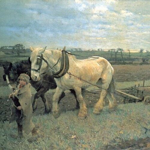 Ploughing