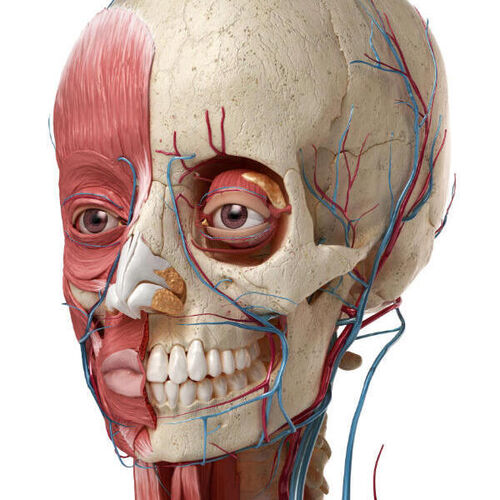 Aesthetics Complications