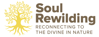 Soul Rewilding | Sacred Nature Retreats and Immersive Experiences London | Spiritual response to eco anxiety Salisbury | Reconnect with nature based faith St Albans