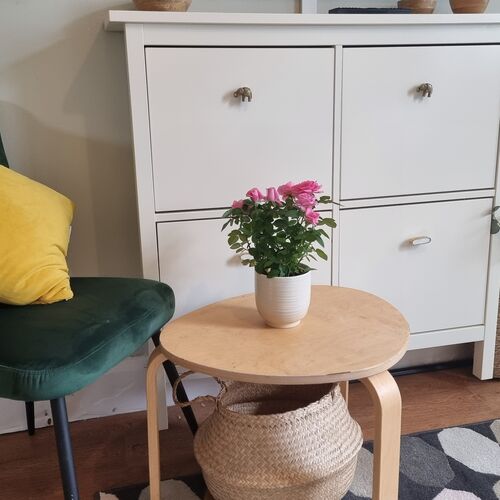 Dog Friendly 2 Bedroom Cottage with Garden In Cheltenham Centre