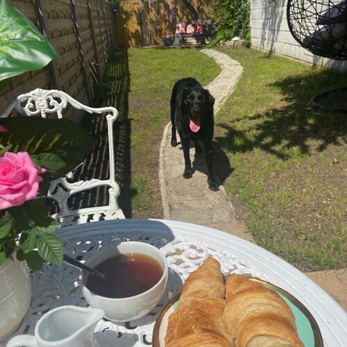 Dog Friendly 2 Bedroom Cottage with Garden In Cheltenham Centre