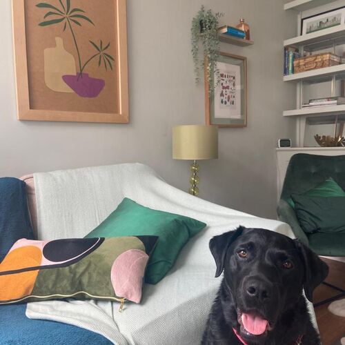 Dog Friendly 2 Bedroom Cottage with Garden In Cheltenham Centre