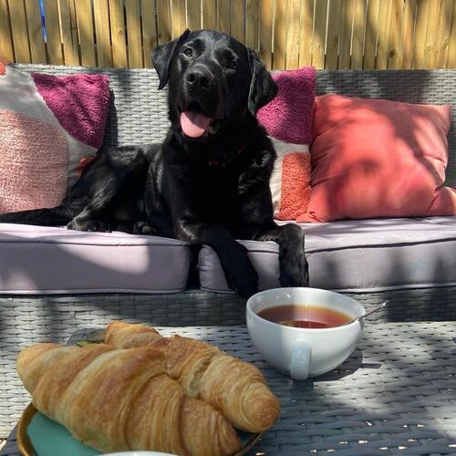 Dog Friendly 2 Bedroom Cottage with Garden In Cheltenham Centre