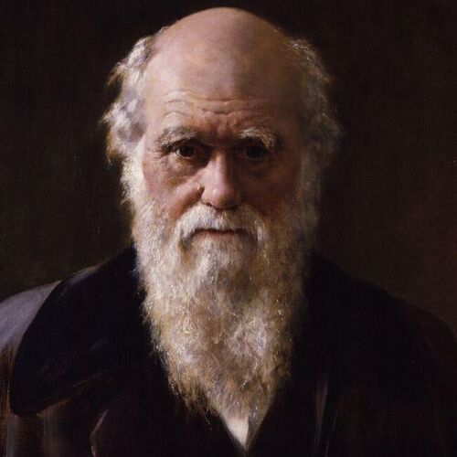 Charles Robert Darwin (Detail)