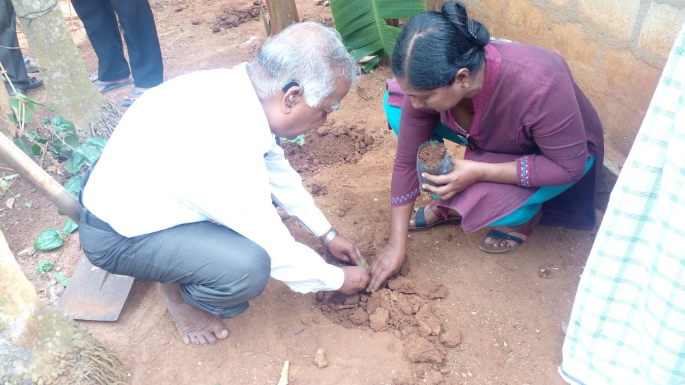 பயிர்களைச் சேர்ந்து நடுவோம்