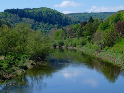 Tintern Abbey and Wye Valley - Summer in the Valley