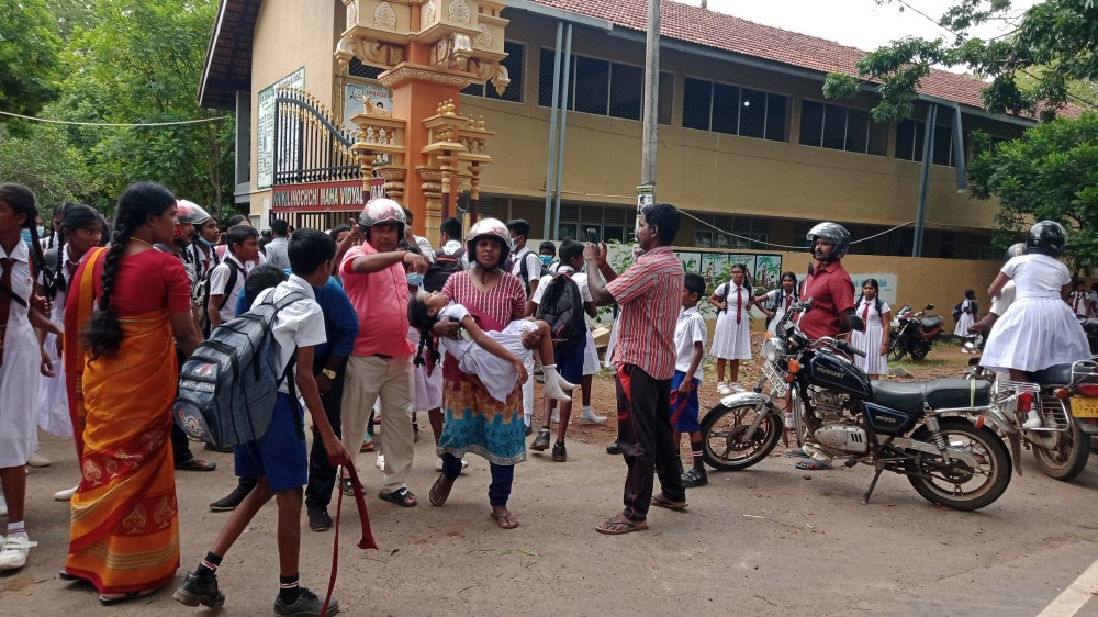 குளவி கொட்டியத்தில் 25 மாணவர்கள் வைத்தியசாலையில்