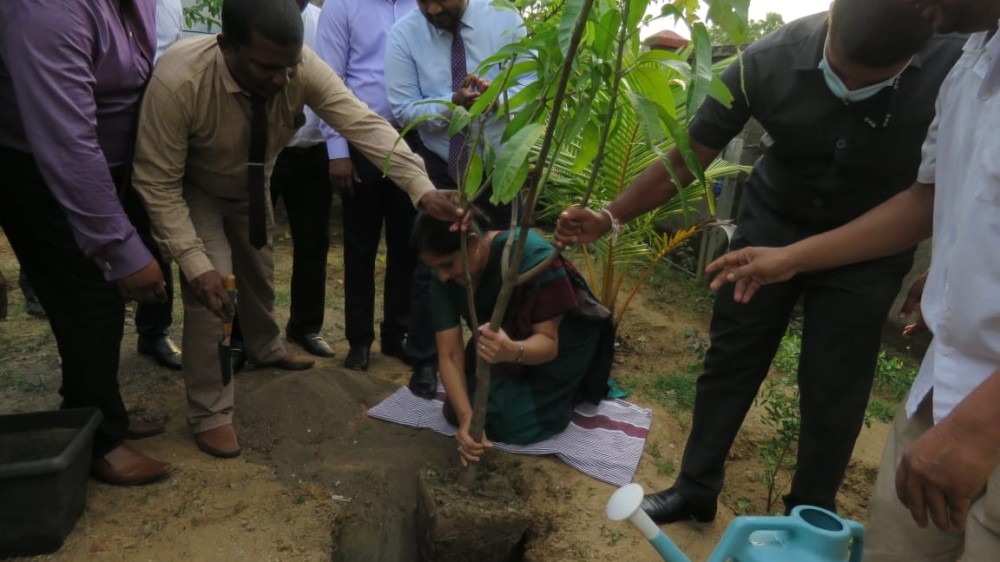 மூலிகைத்தோட்டம்