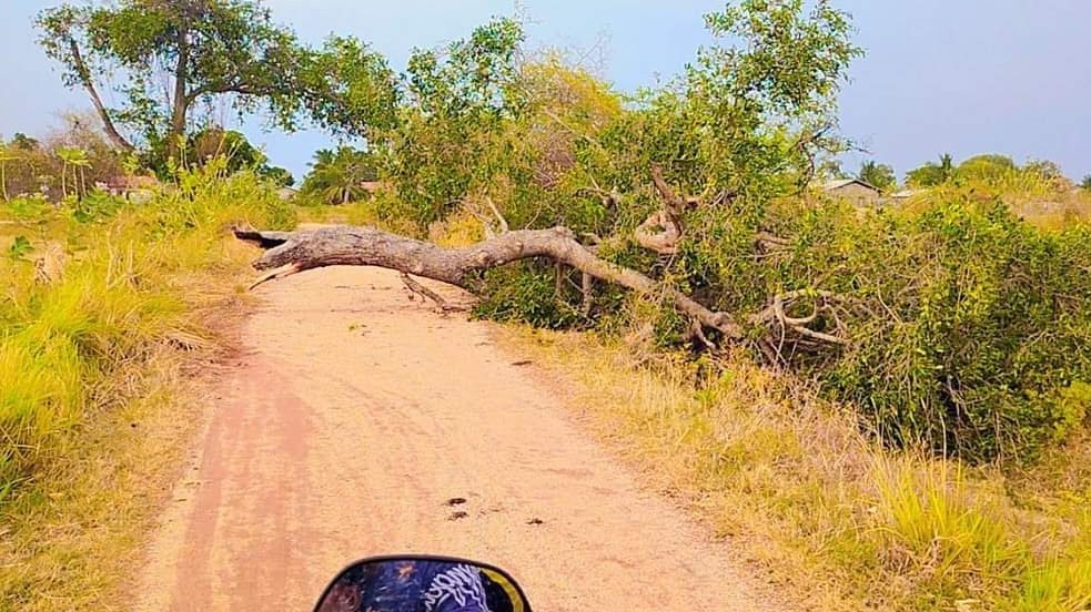 இன்று மாலை சூறாவளியின் தாக்கத்தால் 29 வீடுகள் முற்றாகச் சேதம்