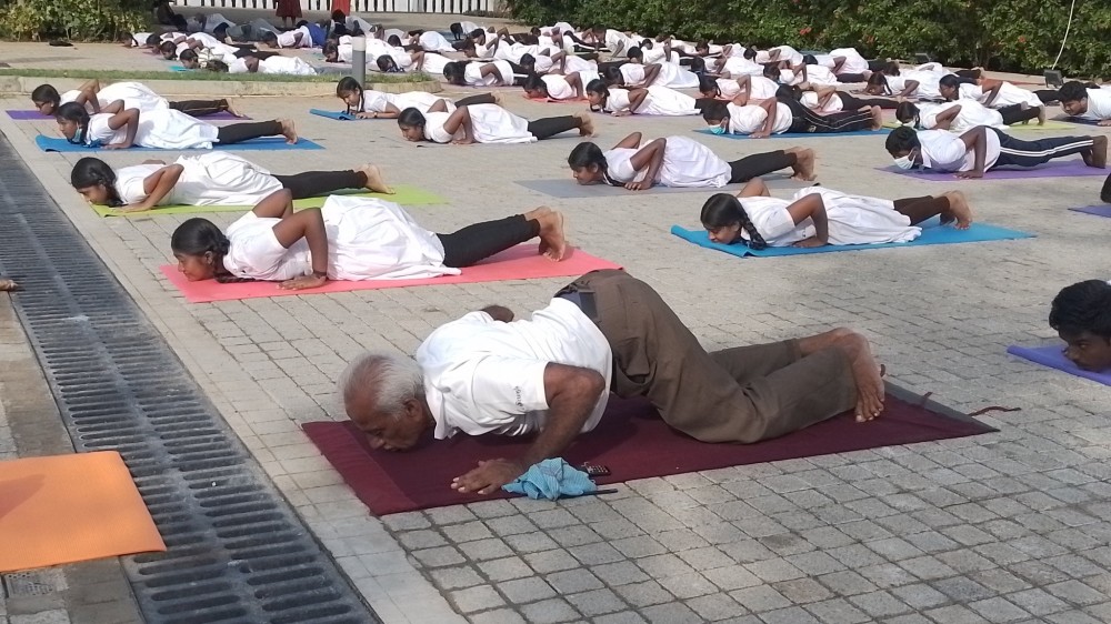 இந்தியாவின் 65ஆவது சுதந்திர தினத்தன்று யோகா தின நிகழ்வுகள்