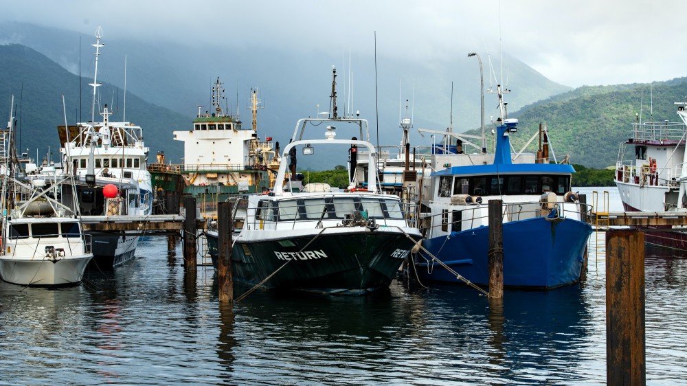 யாழ் கடற்பரப்புக்குள் நுழைந்து மீனிபிடியில் ஈடுபட்ட இந்திய மீனவர்கள் 12 பேர் கைது
