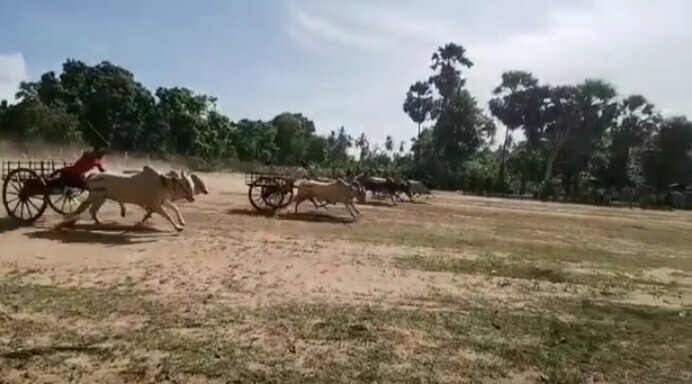 பலவகைச் செய்தித் துணுக்குகள்