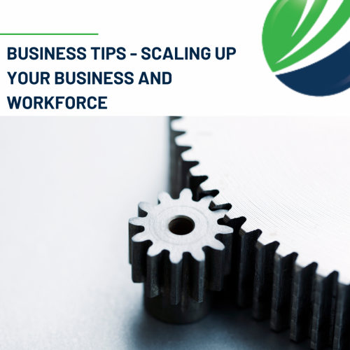 Business tips - Scaling up your business and workforce