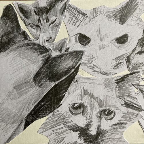 Gallery | Pocket Picassos