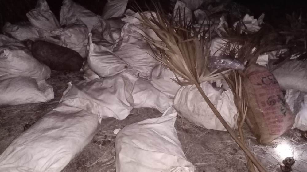 சட்டவிரோதமாக வைத்திருந்த மஞ்சள் மொத்தமாக்க கைப்பற்றப்பட்டது