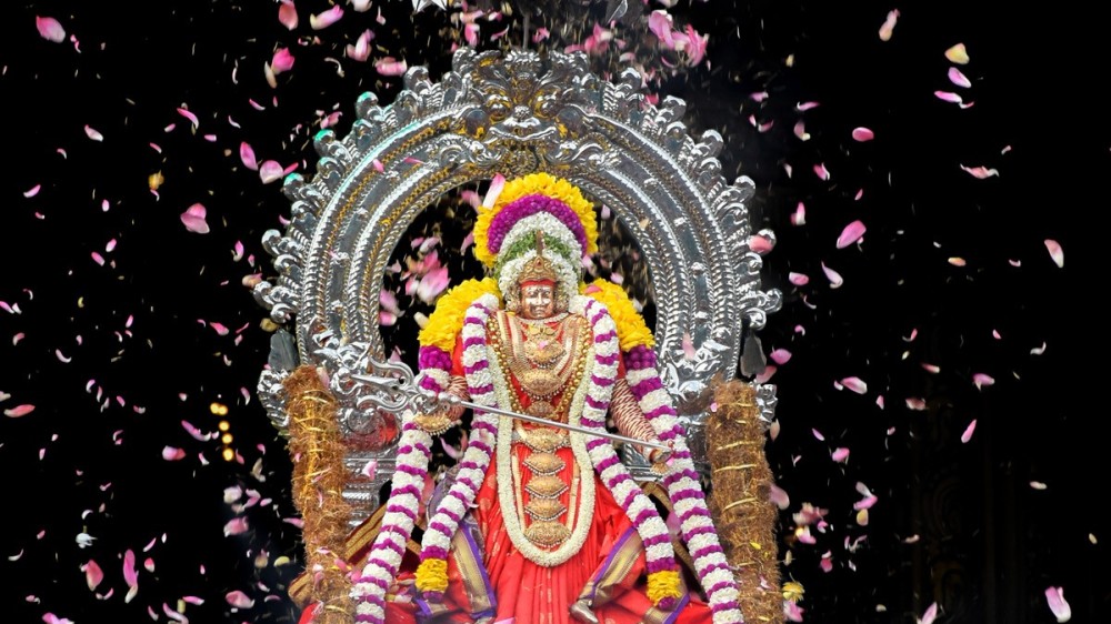 வீரமாகாளி அம்மன் கோவில்  தேர்த் திருவிழா