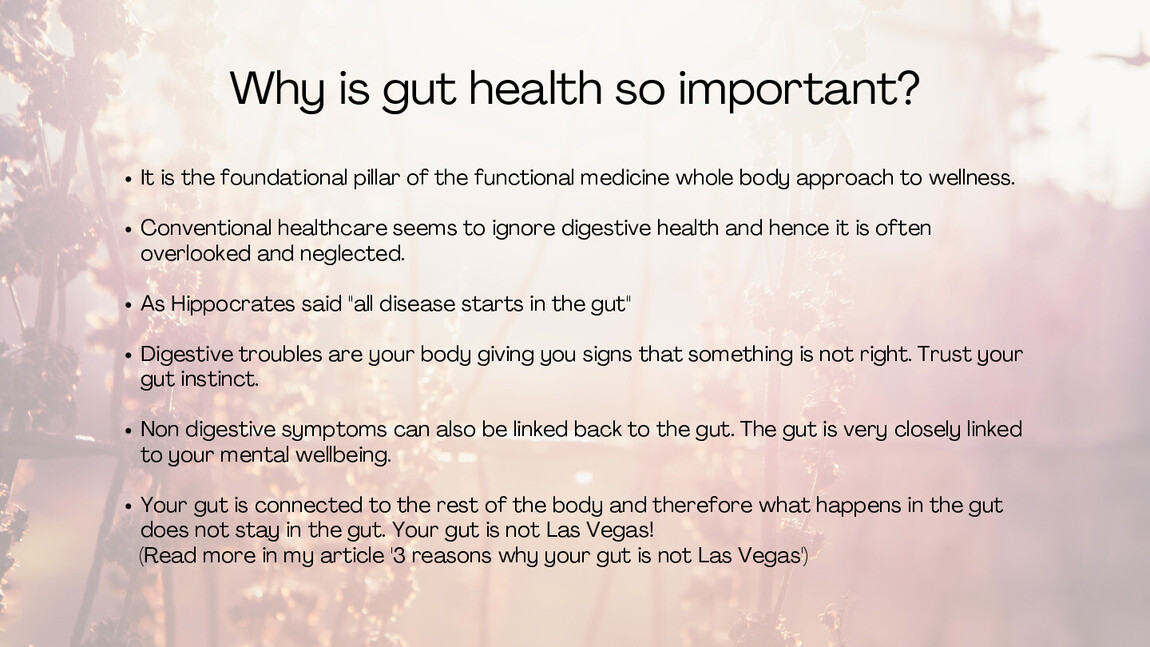 Gut Wellness Journey